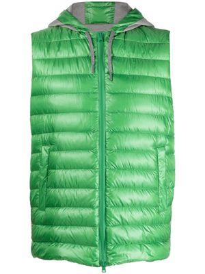 Herno gilet matelassé à capuche - Vert