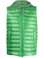 Herno gilet matelassé à capuche - Vert