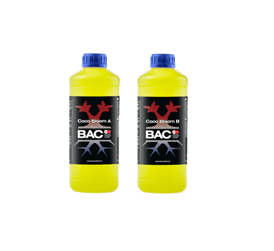 BAC BAC Cocos Bloei A+B