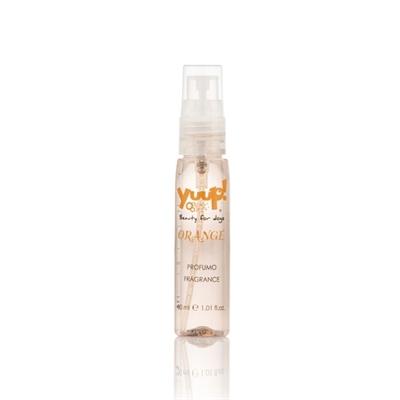 Yuup! orange parfum