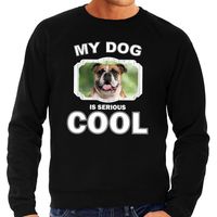 Britse bulldog honden sweater / trui my dog is serious cool zwart voor heren