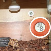 Digitale ronde gevormde Reptile vak heeft Thermometer & Hygrometer met de vertoning van het scherm (oranje)