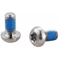 Elvedes Remschijfboutjes torx titanium (p6)