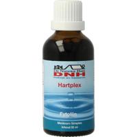 DNH Hartplex tinctuur
