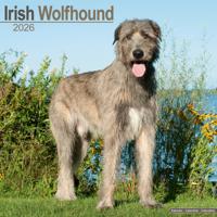 Ierse Wolfshond Kalender 2026