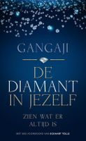 De diamant in jezelf - Gangaji - ebook