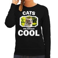 Dieren gekke poes sweater zwart dames - cats are cool trui - thumbnail