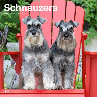 Schnauzer Kalender 2026