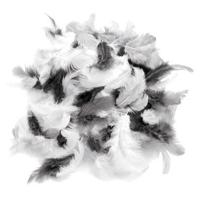 Sierveertjes - dons - decoratie - grijs tinten mix - 10 gram - 50x stuks