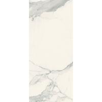 Douglas & Jones Vloertegel 120x280 cm Magnum Glans Statuario - Vloertegel 120x280 cm Magnum Glans Statuario (prijs Per Tegel)