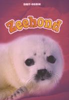 Zeehond (Hardback)