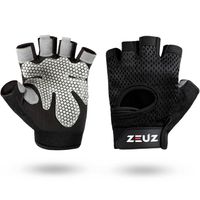 ZEUZ® Sport & Fitness Handschoenen Dames & Heren – Krachttraining - Crossfit Training – Gloves voor meer grip - Maat L - thumbnail