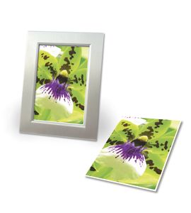 Avery-Zweckform Photo Paper C2552-40P Fotopapier 10 x 15 cm 250 g/m² 80 vellen Zijdemat