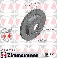 Remschijf COAT Z 450522920