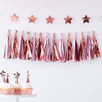Ginger Ray TW-811 Twinkle Twinkle Roze Tasselslinger