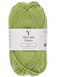 Yarn and Colors Epic 123 Fern