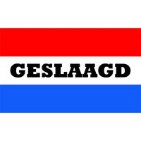 Geslaagd vlag met Nederlandse kleuren 150 x 90 cm