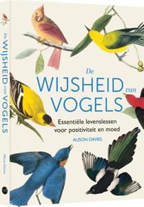 De wijsheid van vogels (Hardback)