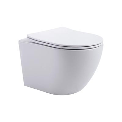 Aloni Pro Hangend Toilet - 36x49x32cm - wervelspoeling - randloos - met zitting - softclose - quick release - compact - mat wit PRO1825 Aloni Pro Hangend Toilet - 36x49x32cm - wervelspoeling - randloos - met zitting - softclose - quick release - compact - mat wit PRO1825