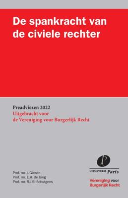De spankracht van de civiele rechter (Paperback)