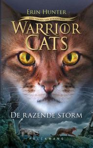 Een visioen van schaduwen: (Hardback)