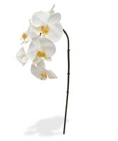 Phalaenopsis kunsttak 55 cm creme