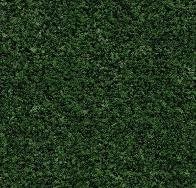 Coral Brush 5708 Advocado Green 205 cm breed