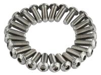 ANP BOUT M6X16 INBUS RVS ISO7380-1 A2-070 DS A 25