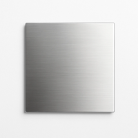 RVS vierkante plaat 10x10x3mm (set van 2 stuks)