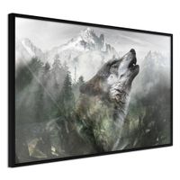 Ingelijste Poster - Huilende Wolf in de bergen ,Zwarte lijst