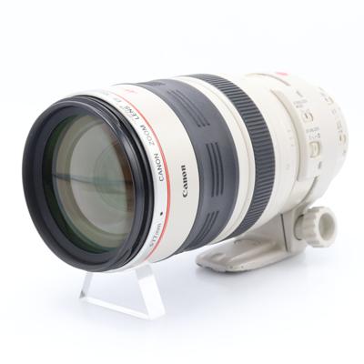 Canon EF 100-400mm F/4.5-5.6 L IS USM (schuifzoom) occasion