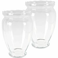 Bloemen vaas - 2x stuks - transparant - glas - H35 cm - Vazen