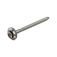 Homefix Afdichtschroef Rvs-A2 Lk Epdm Ring 15Mm Torx TX20 4.5X60 | 12 stuks - 6701.60.33040