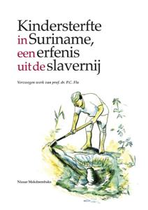 Verzwegen werk van P.C. Flu (Paperback)