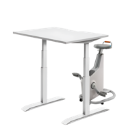 LifeSpan Ampera Bike Desk Glacier White with Standing Desk