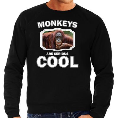 Dieren gekke orangoetan sweater zwart heren - monkeys are cool trui Dieren gekke orangoetan sweater zwart heren - monkeys are cool trui