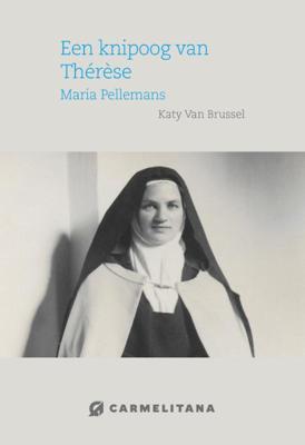 Een knipoog van Therese (Paperback)