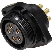 Weipu SP2113 / S 5 Ronde connector Bus, inbouw Totaal aantal polen: 5 Serie (ronde connectoren): SP21 1 stuk(s)