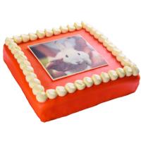 Fototaart Marsepein Oranje 60 personen