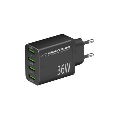 Esperanza EZC107K netvoeding oplader 36W Zwart