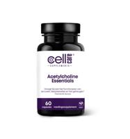 Acetylcholine essentials