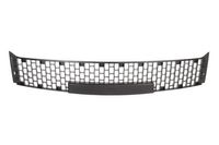 Ventilatiegrille, bumper 6502073332910P