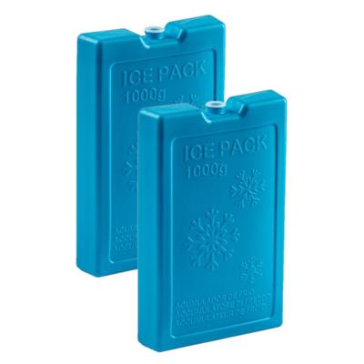 Koelelementen van 1000 gram - 8x stuks - blauw - 22 x 14.5 x 3.5 cm - voor koeltas en koelbox