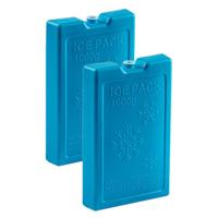 Koelelementen van 1000 gram - 8x stuks - blauw - 22 x 14.5 x 3.5 cm - voor koeltas en koelbox