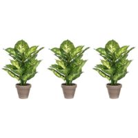 Voordeelset van 4x stuks groene Dieffenbachia kunstplanten 40 cm in pot