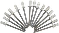 SILENT SPORT blindklinknagels blind rivet set sp 4,8x11mm 15pcs. SILENT SPORT blindklinknagels blind rivet set sp 4,8x11mm 15pcs.
