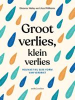 Groot verlies, klein verlies - Spiritueel & Spiritualiteit - Spiritueelboek.nl