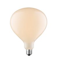 Edison Design LED filament lichtbron Globe - Wit - Milky - LED lamp - 16/16/20.5cm - geschikt voor E27 fitting - Dimbaar - 6W 510lm 2700K - warm wit licht