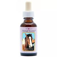 Animal Essences Wild horse (wild paard) 30 Milliliter