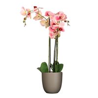 Orchidee kunstplant roze - 75 cm - inclusief bloempot taupe mat - thumbnail